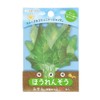 Sunstar Stationery S2817969 Sticky Notes, Loc Chibung, Spinach Fusen, Swordleaf