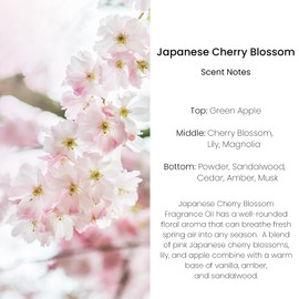 Car Fresheners Hanging, Cherry Car Freshener, Car Fresheners for Women, Long Lasting Car Perfume, 2 Pack Car Diffuser,Essential Oil Diffuser for Car, Made in USA