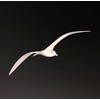 Seagull Mobile Outdoor Version by John Perry 16 inch Wingspan