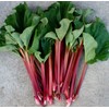 RAISE ME UP: Seeds Rhubarb Victoria Giant Red Stalk Non