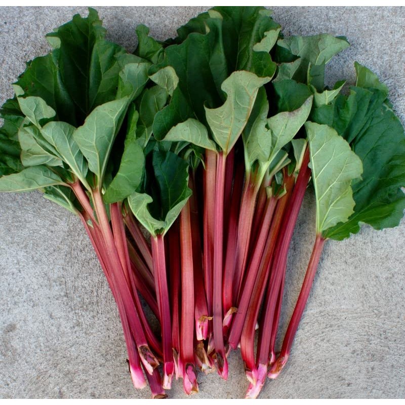 RAISE ME UP: Seeds Rhubarb Victoria Giant Red Stalk Non