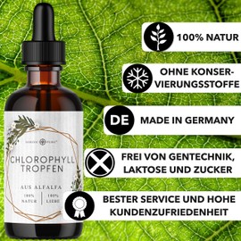 Chlorophyll Liquid from Alfalfa - 100 ml Liquid Chlorophyll - 200 mg Liquid Chlorophyll Per Daily Dose - Chlorophyll Drops as Alternative to Chlorophyll Tablets