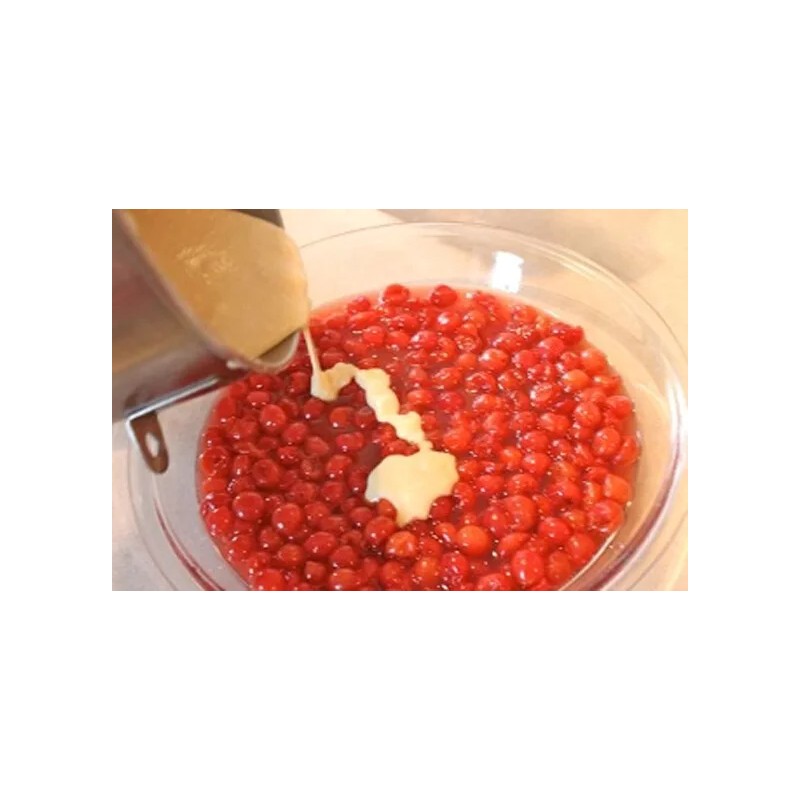 Julia's Pantry Gluten Free Cherry Cobbler Mix 9oz Bag