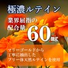ルテイン 60日分 フリー体ルテイン 60mg 濃縮ブルーベリー 国内製造 サプリ