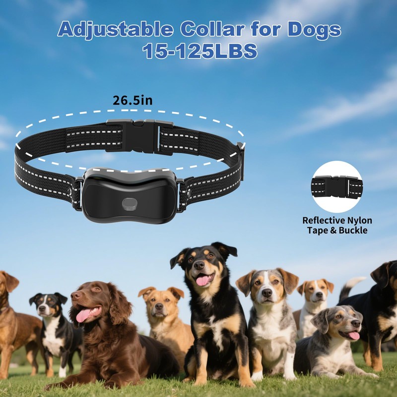 BCPETMY Shock Collar for Dogs with Color Screen - 3300