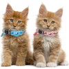 Diyife 2 Pzs Collar para Gatos para AirTag, con Hebilla