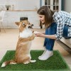 Alfombra Césped Perros Fengtuilie 71x46cm Lavable Ecológica Verde
