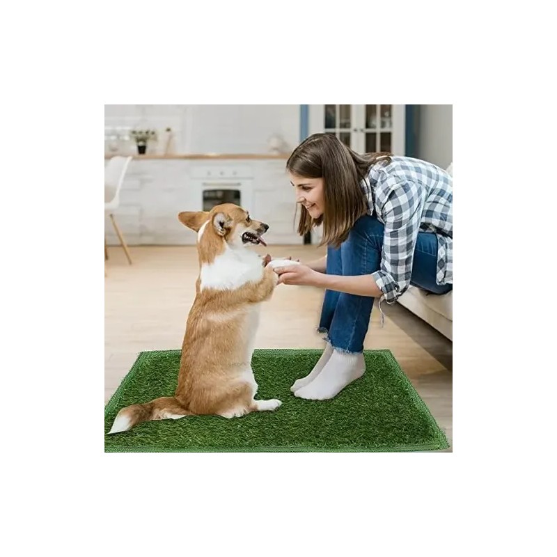Alfombra Césped Perros Fengtuilie 71x46cm Lavable Ecológica Verde