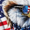 Eagle Mullet Merica Flag – Funny American Flag - USA