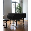TINDTOP Thickened Grand Piano Cover, Thicken Cotton Lining Baby Piano
