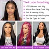 20 Inch Straight Human Hair Wigs, 13 x 4 Human