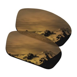 SmartVLT Polarized AR Coated Bronze Gold Replacement Lenses for Oakley Straightlink OO9331 Sunglass