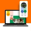 DNA MY DOG - Premium Test – Trusted & Affordable