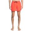 Quiksilver Men's Everyday 38.1-cm Board Shorts