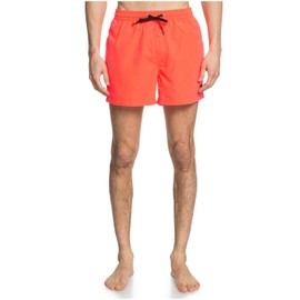 Quiksilver Men's Everyday 38.1-cm Board Shorts