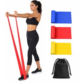 Resistance Bands Set of 3 with Carry Bag, Exercise Bands 15lb 20lb 25lb, 150cm Fitness Workout Bands for Women & Men, Stretch Bands for Yoga, Pilates, Strength Training, Physiotherapy & Home Gym