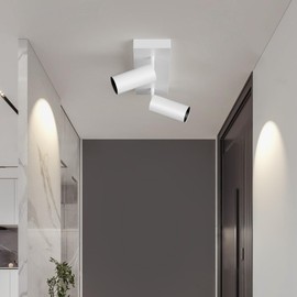 Spotlight Indoor Ceiling LED Light,2 Lights 40W Modern Spot Light Fixtures 4000K White Accent 300°Adjustable Picture Painting For Living Room Bedroom Hallway Gallery Flush Mount Directional Lighting