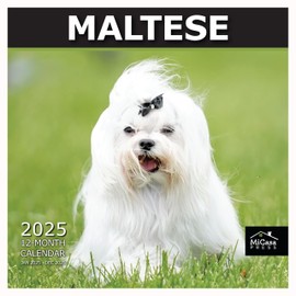 MICASA Maltese 2025 Wall Calendar 12 Month | 12" x 24" Open | Thick & Sturdy Paper | Giftable | Calendar 2025