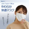 グディナ やわらか快適不織布マスク 個別包装50枚