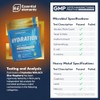 Essential Elements Hydration Packets - Blue Raspberry Pack - Sugar