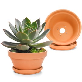 Mezchi 2 Pack 8 Inch Shallow Succulent Terracotta Pots with Drainage Hole and Saucer, Large Clay Plant Pots for Indoor and Outdoor Planter, Bowl Planter for Orchid, Cactus, Flowers