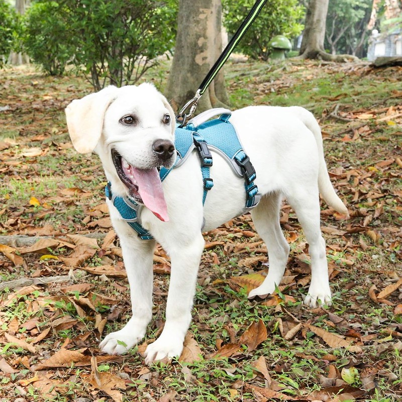 BELPRO Multi-Use Support Dog Harness, Escape Proof No Pull Reflective