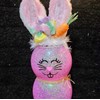 18 Pcs Easter Bunny Face Vinyl Decals - Bunny Faces