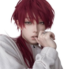 Hawkko Men's Short Wig, Full Wig, Long Straight Wig, Men's Wig, Black, Men's Wolf Cut, Wig, Men's, Harajuku, Handsome, Men's, Natural, Small Face, Heat Resistant, Popular, Fashion, Imechan, Cosplay,