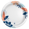 Dixie Paper Plates, Large 10 Inch | 2X Stronger |