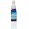 ABFE Antarctic Essence 10ml
