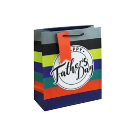 Eurowrap Stripes Happy Fathers Day Paper Gift Bag with Gift Tag Medium
