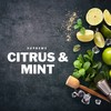 Beard Oil Citrus Mind Mojito Scented | Hair Growth &