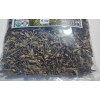 4oz Pirul Hierba Schinus molle false pepper tree California Peruvian