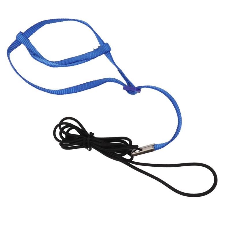 Parrot Harness Leash Adjustable Bird Flying Harness Traction Rope with