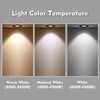 LIDESENMO 2-Pack 120mm DC 12V Kitchen Cooker Light Bulb 1.5W