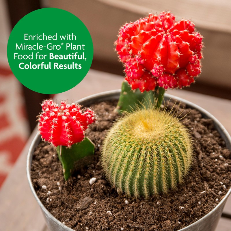 Miracle-GRO Cactus, Palm and Citrus Potting Mix, for Indoor or