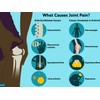 Byalife ARTHRI PLUS For Pain In The Back Joints Bones