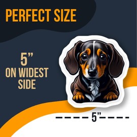 Cute Dachshund Dog Sticker - Adorable Vinyl Sticker - Animal Lover Gift - Die Cut Sticker for Laptop - Water Bottle Decal - AAS0604