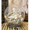 Nautical Marine Sea Shells Glass Globe Ball On Silver Coral