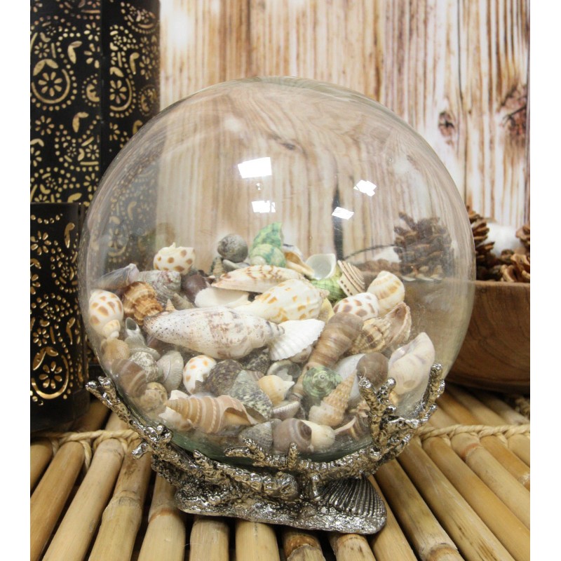 Nautical Marine Sea Shells Glass Globe Ball On Silver Coral