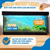 Clarence the Clarifier Fish Aquarium Water Clarifier | Clear Cloudy