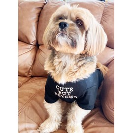 Cute Dog Clothes,Dog T Shirt for Medium Dogs.Dog Clothes for Small Dogs Girl Boy,Puppy.Breathable Soft Dog Costume Pet Dogs Cats,Pet Pullover Jumper,Cat Clothes (L-(10~17lb), Chest~18", Black)