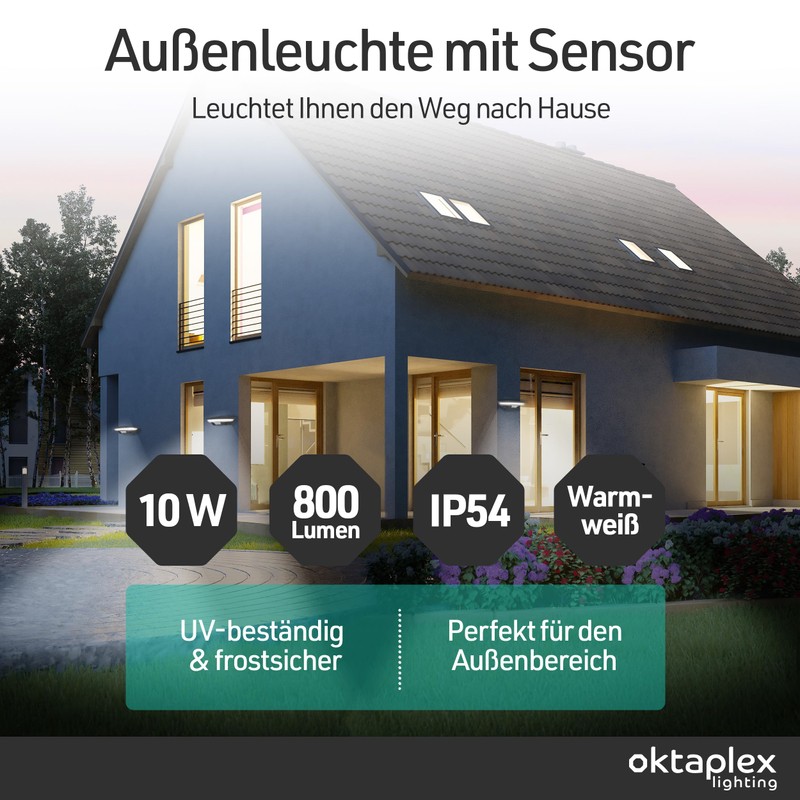 Ambo Motion Outdoor Light with Motion Sensor 10 W 800