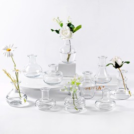 Clear Glass Bud Vase, 10Pcs/Set Modern Decorative Small Mini Flowers Vases, Minimalist Aesthetic Home Decor Vintage Wedding Table Centerpieces for Single Flower Rose (Clear)