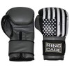 Ring to Cage Gym Training Stand-Up Boxing Gloves - USA.