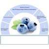 Wonder Essence Serum Bioaqua Blueberry Hidratante Rejuvenece