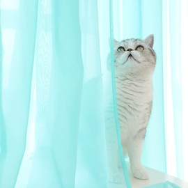 Windows Lake - Cortinas traslúcidas de 108 pulgadas de largo, 42 pulgadas de ancho, juego de 2 paneles de cortina semitraslúcida, bolsillo básico para barra para recámara, niños, sala de estar, patio, cocina (azul lago, 42 pulgadas de ancho x 108 pulgada