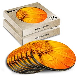 8 x Round Coasters - Orange Marigold Flower Cork Backed MDF Glossy Tea Coffee Accessory #51614