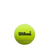 Wilson Premier Padel Speed 3 Ball Can