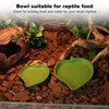 XPEX 2 Pack Leaf Feeding Bowls, Reptile Water Bowls, Feeding